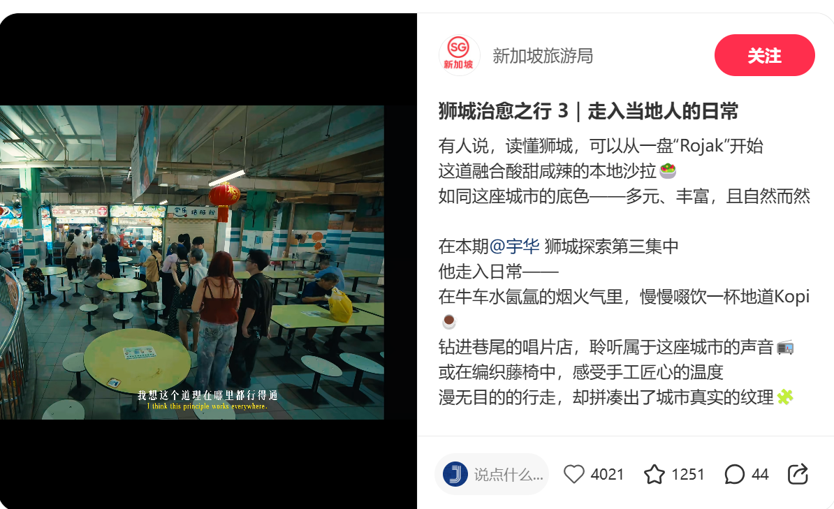被拆解的原片 · 小红书